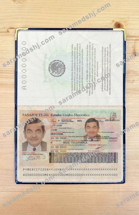 Mexico passport photo look